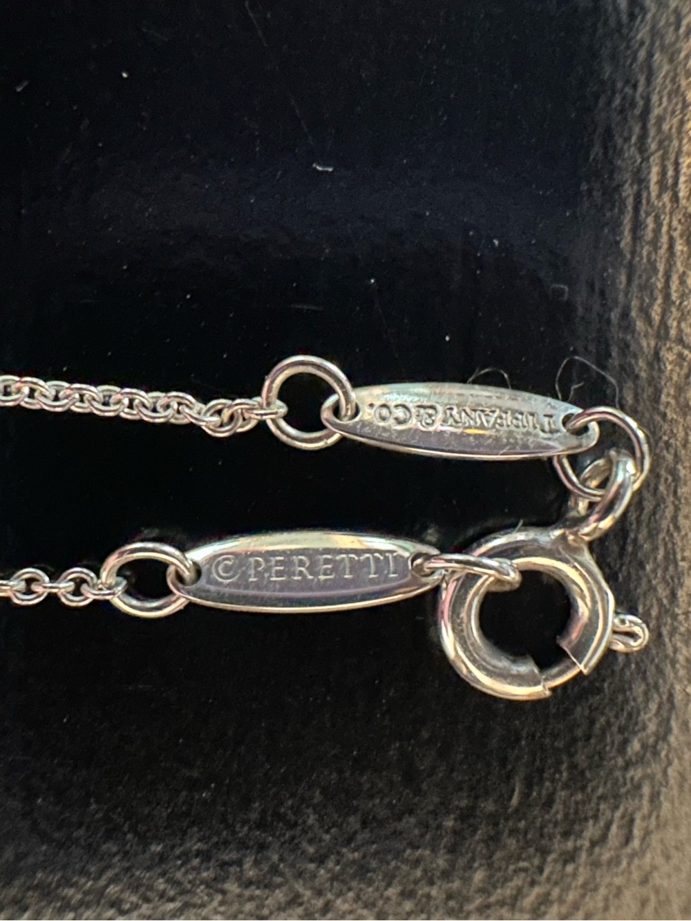 AUTHENTIC Tiffany & Co. Peretti .17 Diamonds by the Yard 16” Silver Pendant - Picture 7 of 15